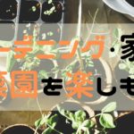 ガーデニングを楽しもう