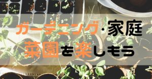 ガーデニングを楽しもう